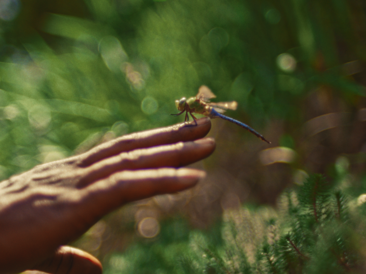 Meta — Garden Marcus